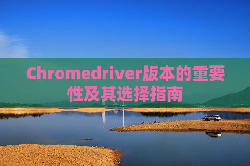 Chromedriver版本的重要性及其选择指南 Chromedriver版本的重要性及其选择指南